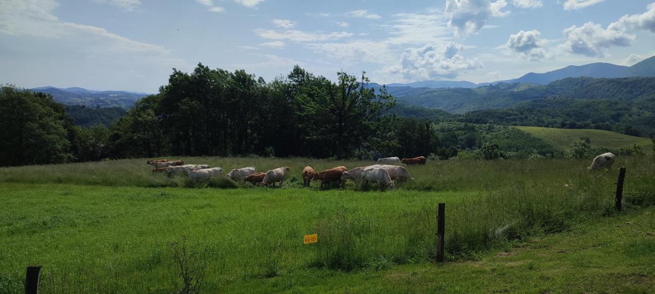 Domaine Le Lanis 