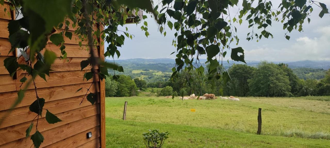 Chalet Domaine Le Lanis 