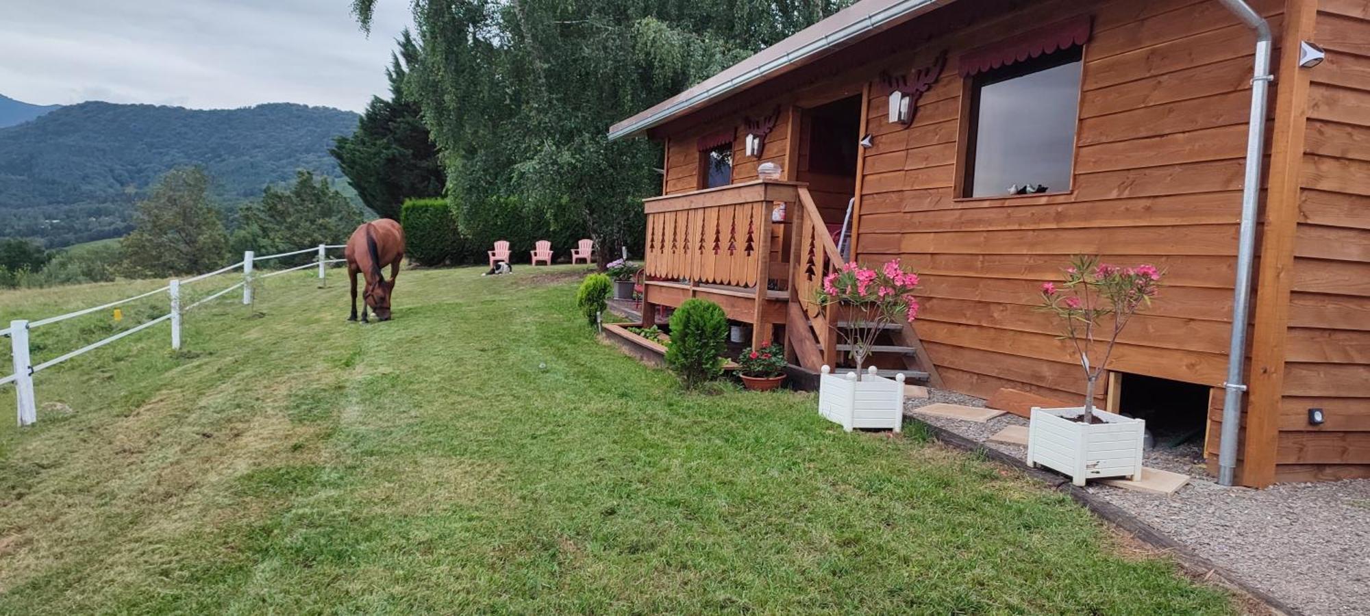 Chalet Domaine Le Lanis 