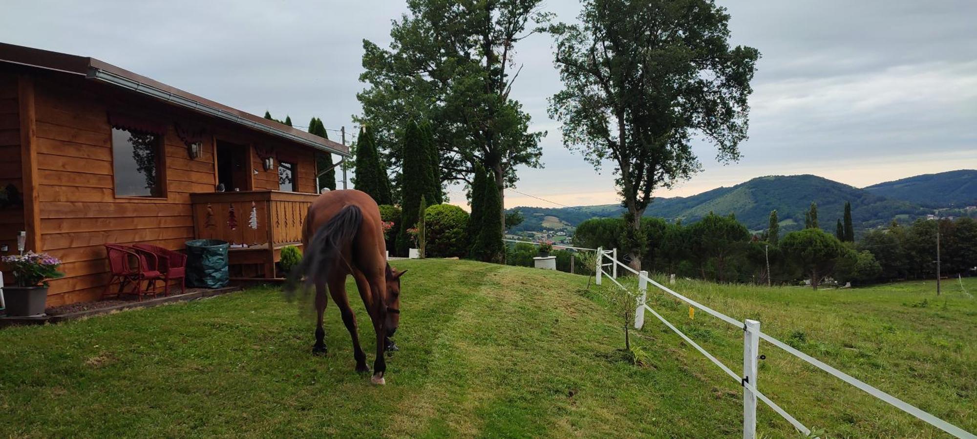 Domaine Le Lanis 